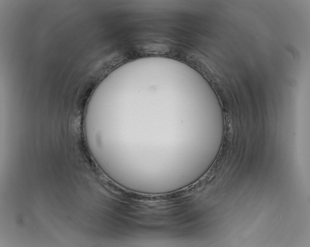 X0000111490745200907141103