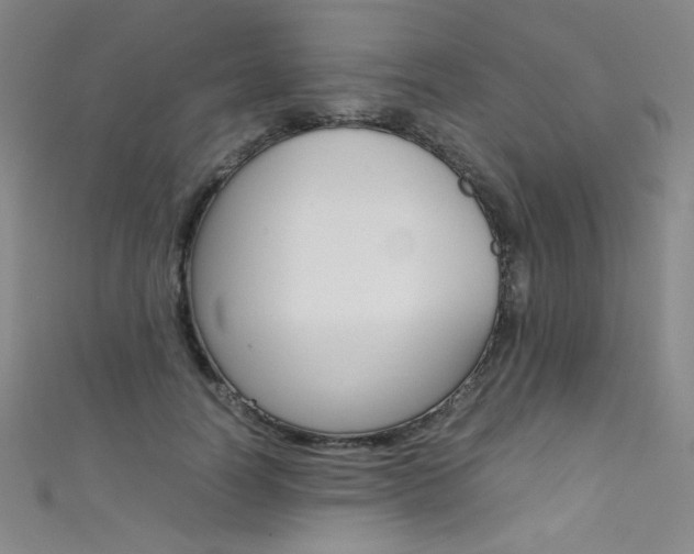 X0000111490746200907141103