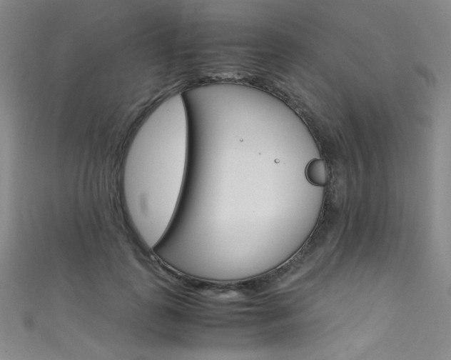 X0000111490747200907141103
