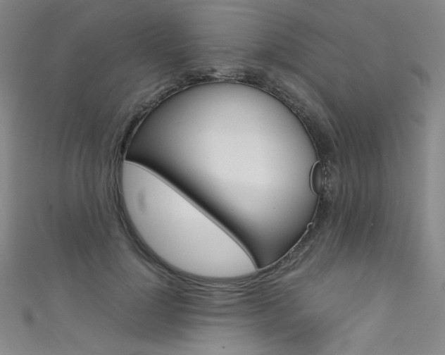 X0000111490748200907141103