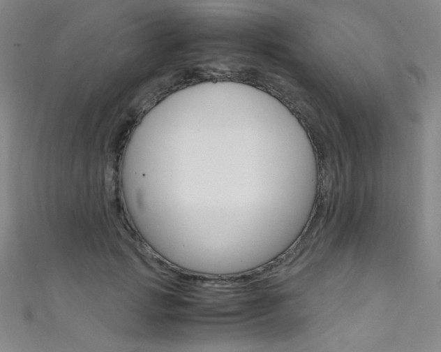 X0000111490749200907141103