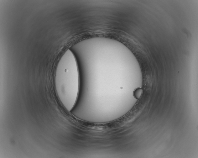 X0000111490751200907141103