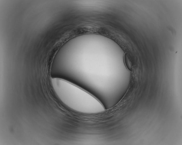X0000111490752200907141103