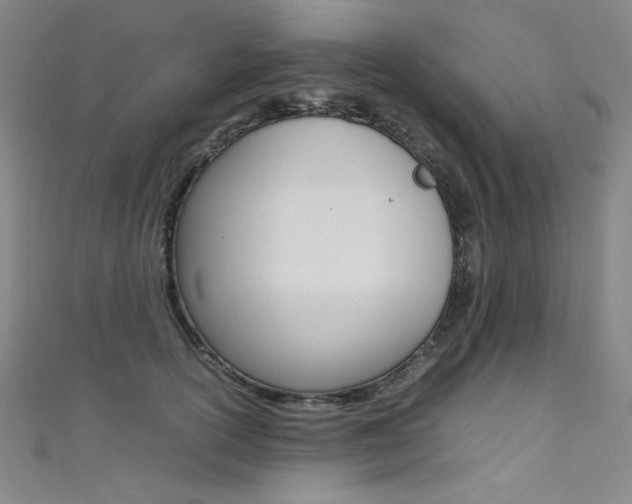 X0000111490754200907141103