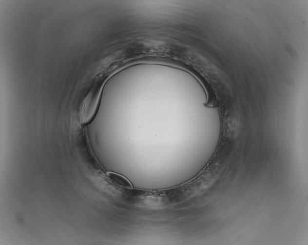 X0000111490756200907141103