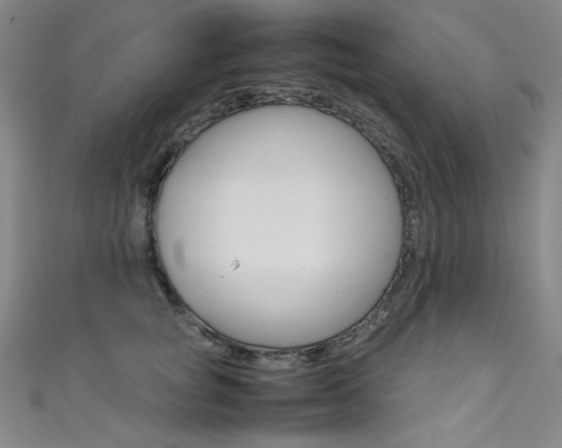 X0000111490757200907141103