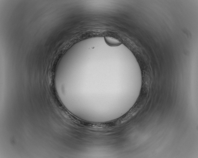 X0000111490758200907141103