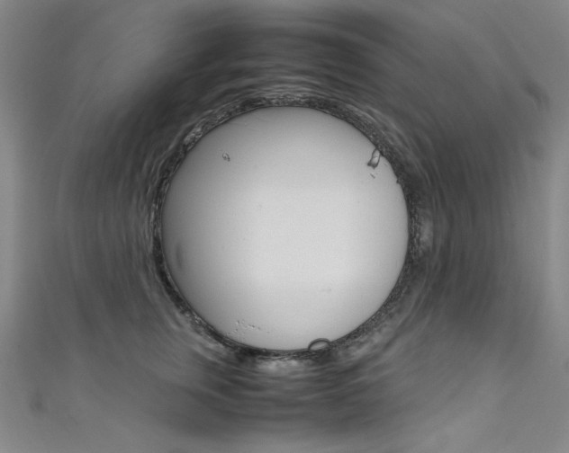 X0000111490759200907141103