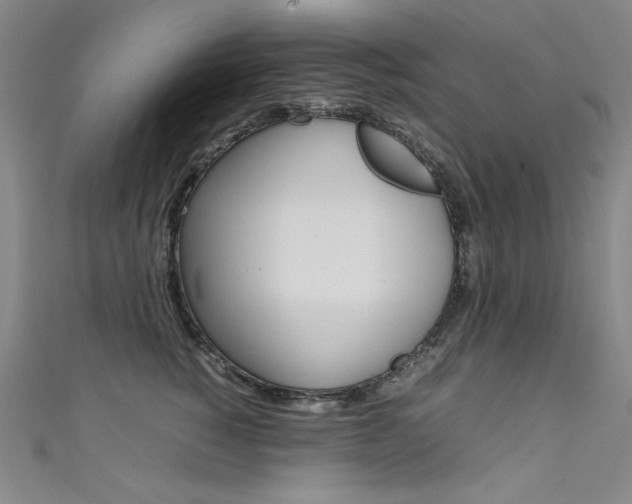 X0000111490760200907141103