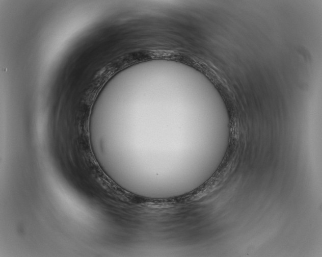 X0000111490763200907141103