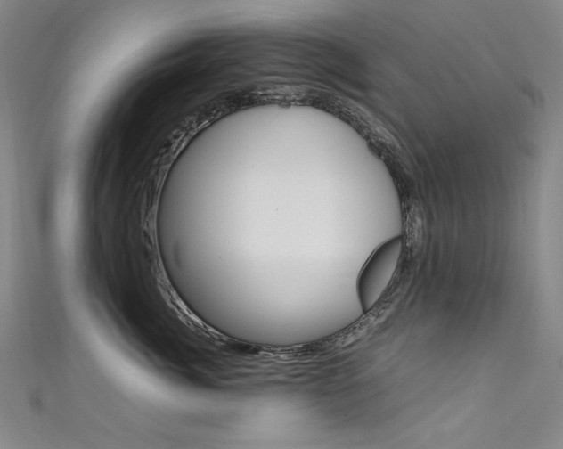 X0000111490764200907141103
