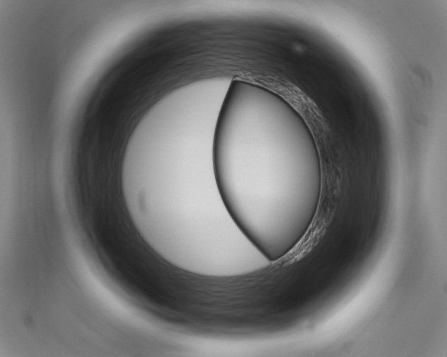 X0000111490766200907141103