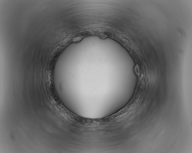X0000111490772200907141103