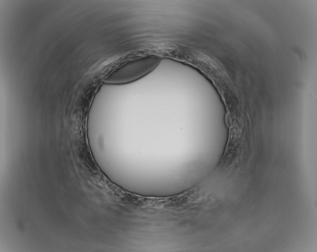 X0000111490773200907141103