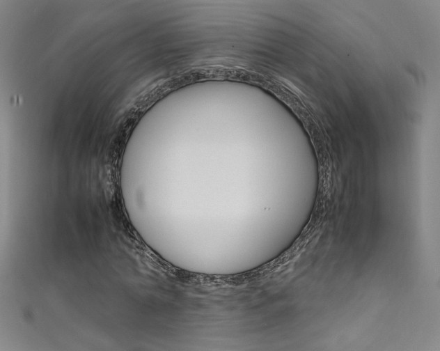 X0000111490774200907141103