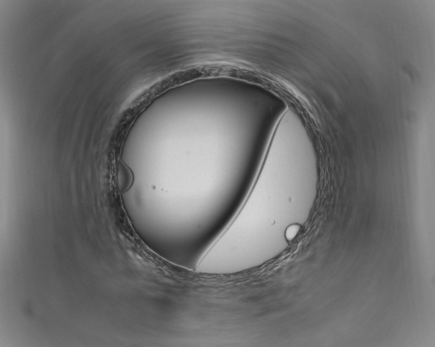 X0000111490775200907141103