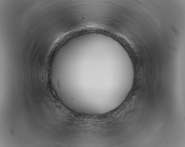 X0000111490776200907141103