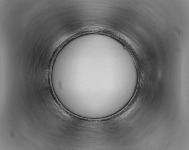 X0000111490778200907141103