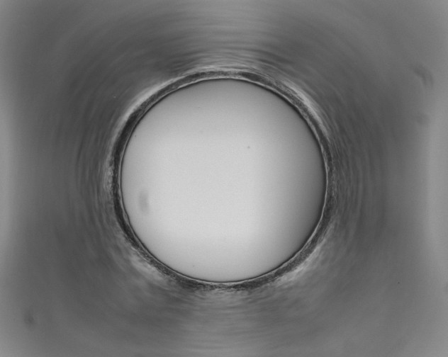 X0000111490779200907141103
