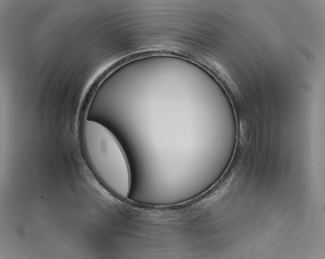 X0000111490780200907141102