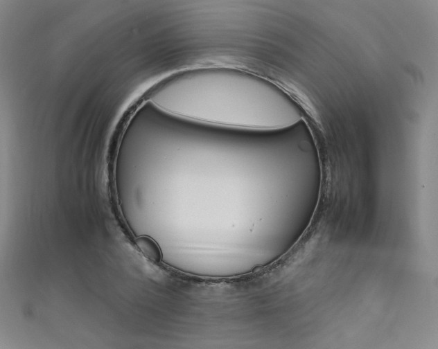 X0000111490784200907141102