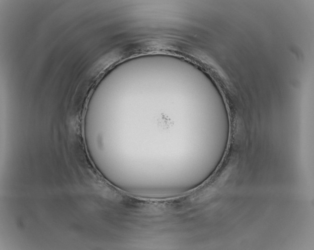 X0000111490785200907141102