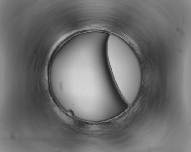 X0000111490792200907141102