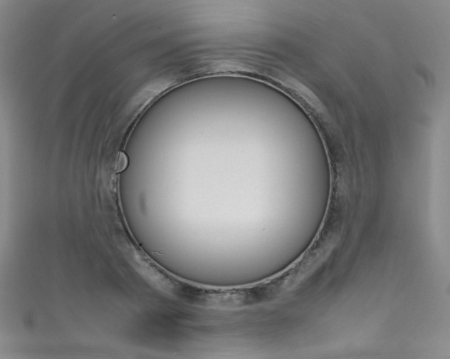 X0000111490793200907141102