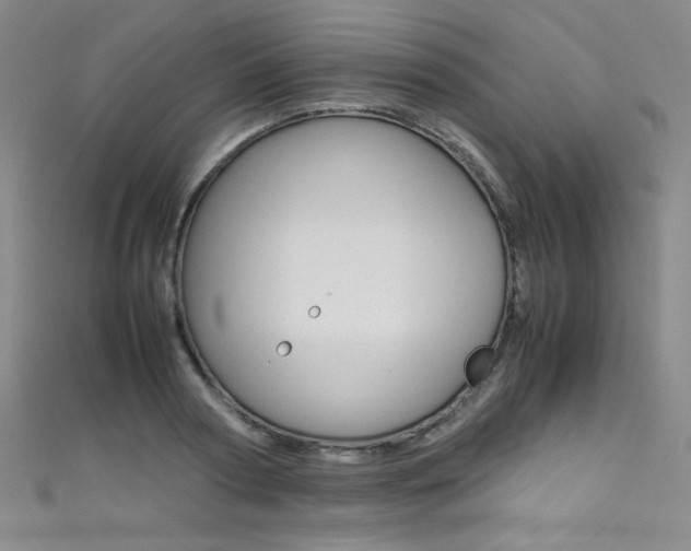X0000111490794200907141102