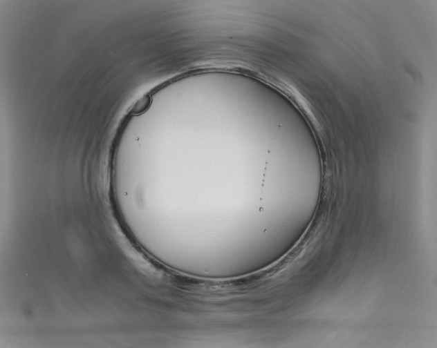 X0000111490795200907141102