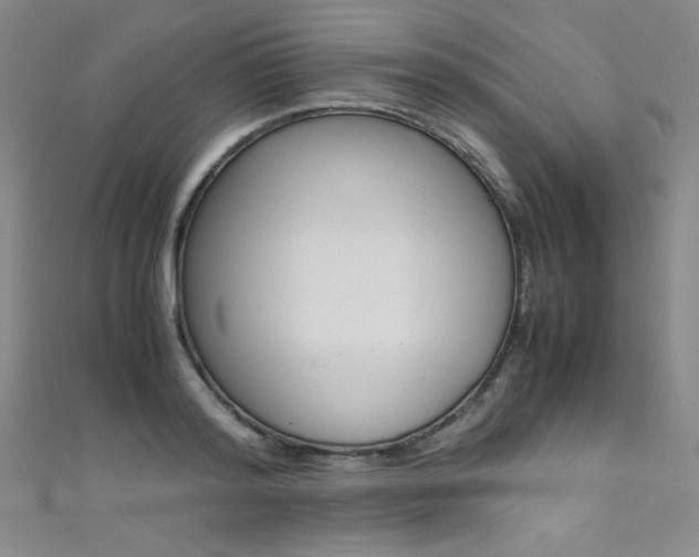 X0000111490796200907141102