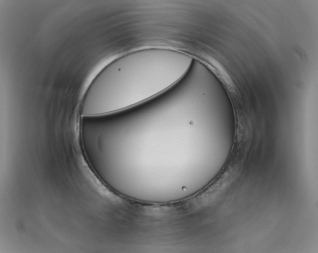 X0000111490804200907141102