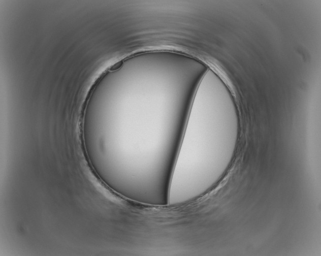 X0000111490805200907141102