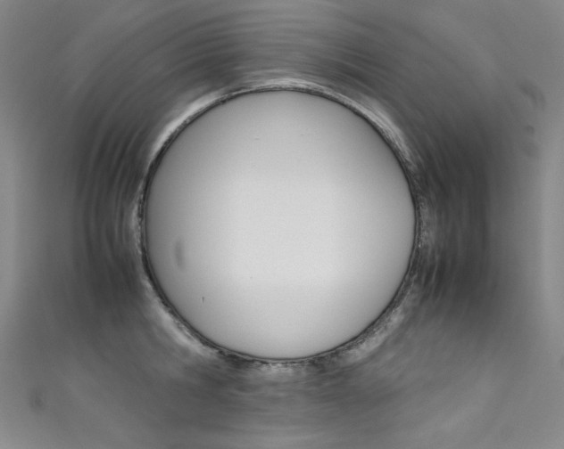 X0000111490806200907141102