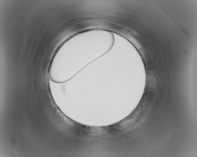 X0000111490807200907141102