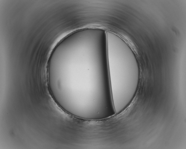 X0000111490808200907141102