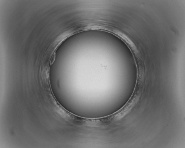 X0000111490809200907141102