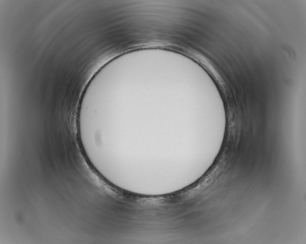 X0000111490810200907141102