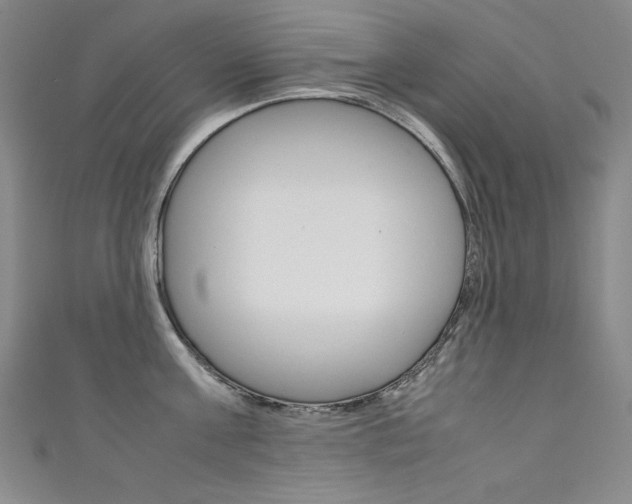 X0000111490811200907141102