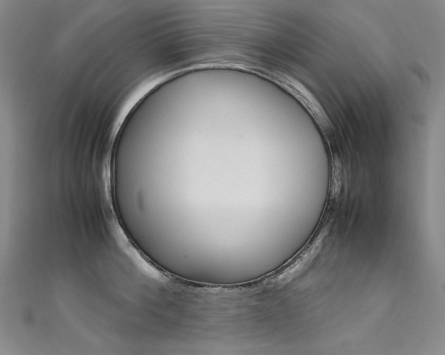 X0000111490812200907141102