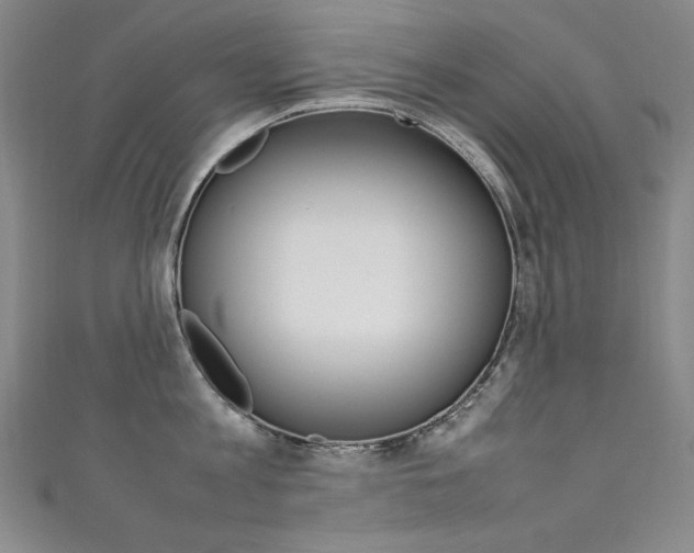 X0000111490813200907141102