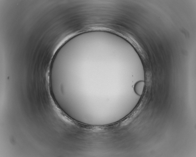 X0000111490814200907141102