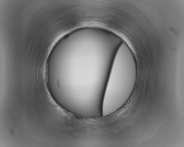 X0000111490815200907141102