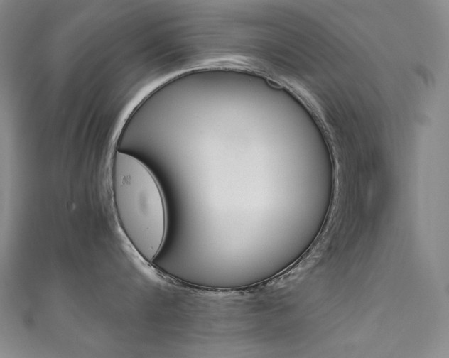 X0000111490816200907141102