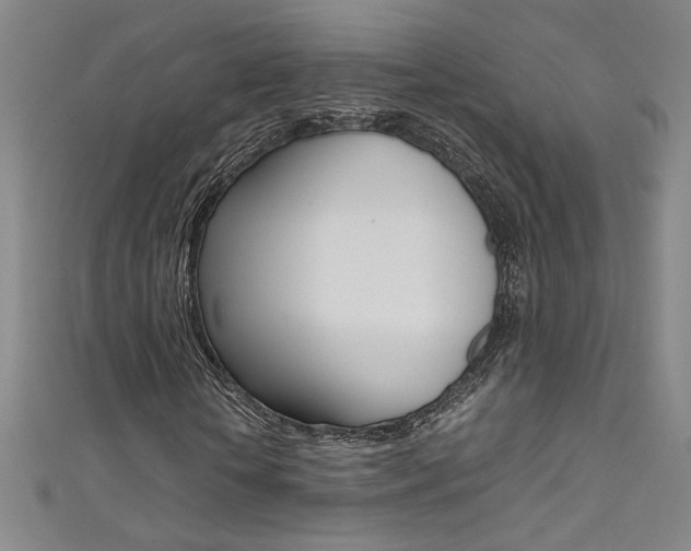 X0000111490818200907141101