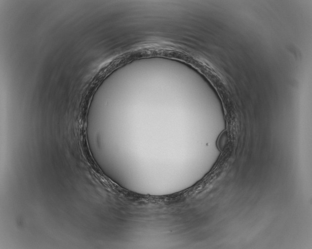 X0000111490822200907141101