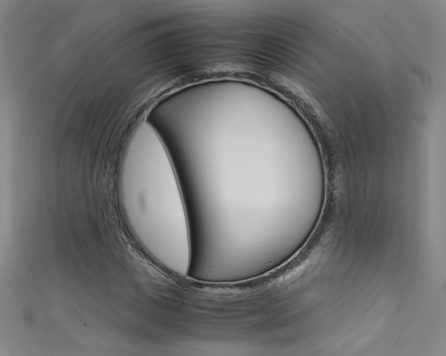 X0000111490825200907141101
