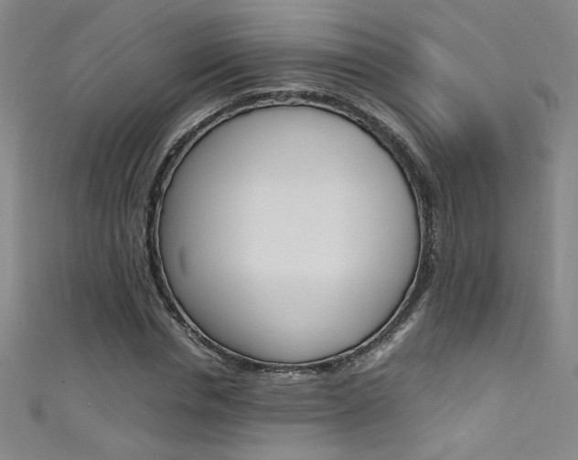 X0000111490826200907141101