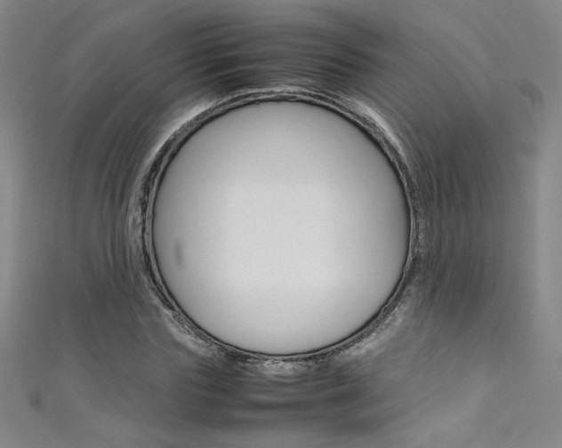 X0000111490827200907141101