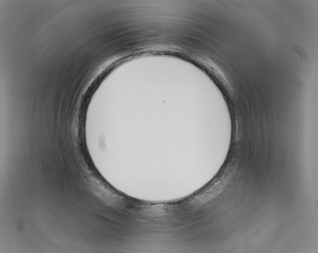 X0000111490828200907141101